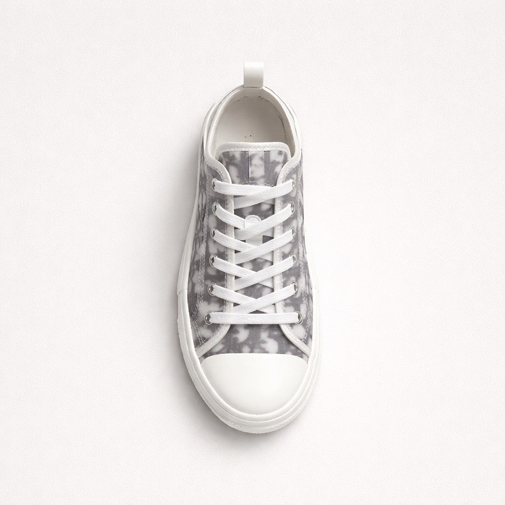 Dior B23 Low Top Oblique