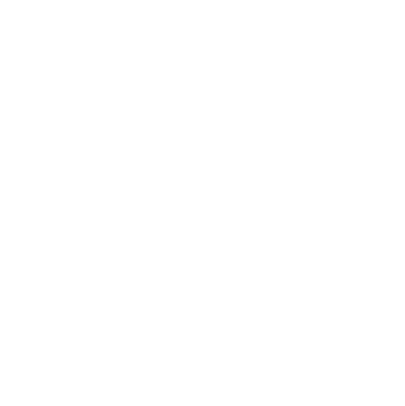 Falcon Paris